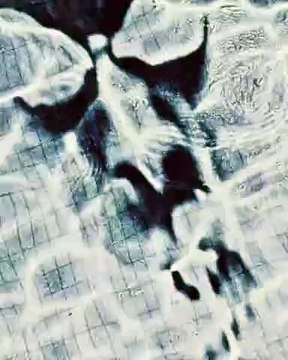 L'hommage au champion français Léon Marchand par la marque de montres Omega