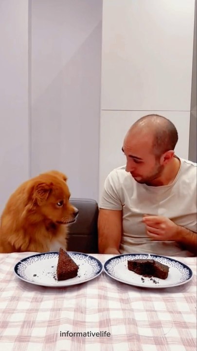 Funny dog!#funny#comedy#viralreel#informativelife