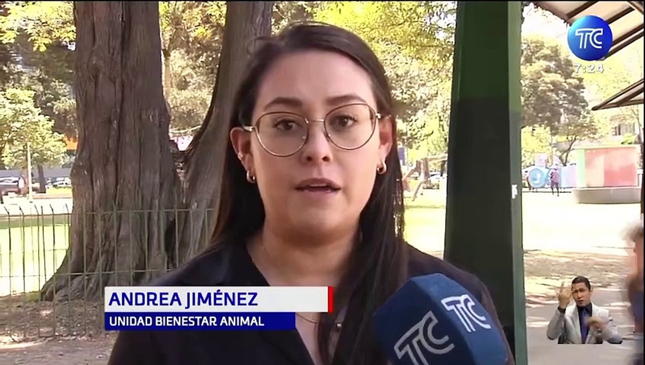 Maltratoanimal