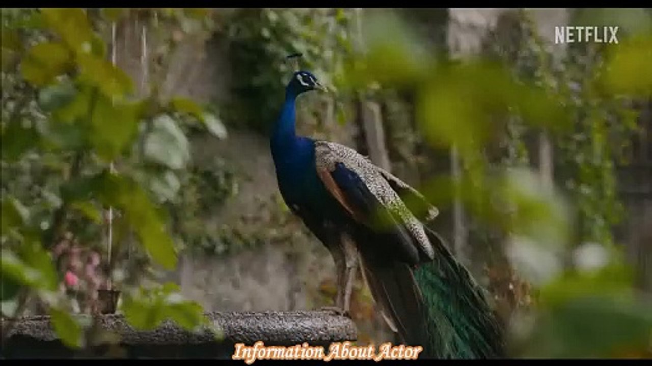 THE DECAMERON Trailer (2024) Tanya Reynold