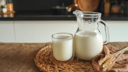 Entera, Desnatada O Sin Lactosa, ¿Qué Leche Es Mejor Para Ti?