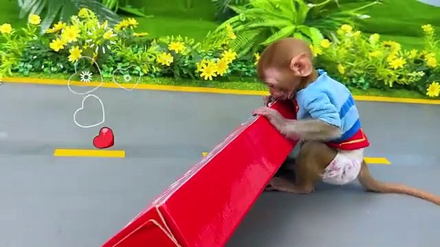 Monkey Baby Bon Bon eats rainbow jelly with puppies and bathes with ducklings in the bathroom