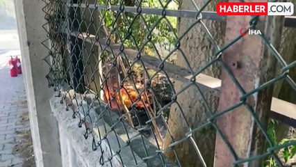 Bahçelievler'de otluk alanda yangın çıktı