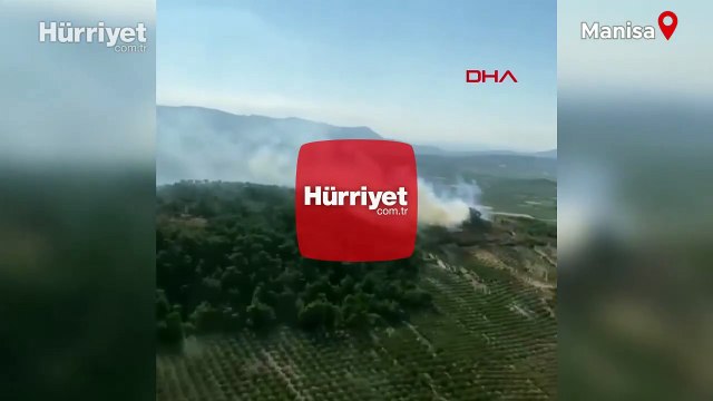 Manisa’nın Kırkağaç ilçesinde orman yangını