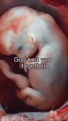 Before you were born