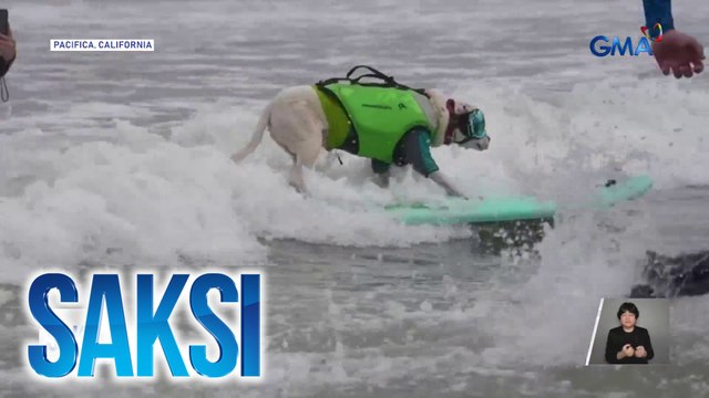 Mga aso, nagpaligsahan sa surfing contest sa California | Saksi
