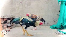 1000103574