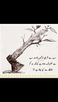 کیونکہ یہ کم فاصلے سے زیادہ نقصان پہنچاتا ہے #trending#viral#shorts#islamic#foryou#dailymotion#share