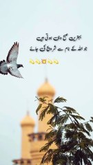 بہترین صبح جو اللہ کے نام سے شروع کی جائے ❤️☺️#trending#viral#shorts#islamic#foryou#dailymotion#share