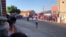 Toro de Santiago 2024 - El Carpio (Valladolid)