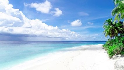 white-sand-beach-and-palm-trees