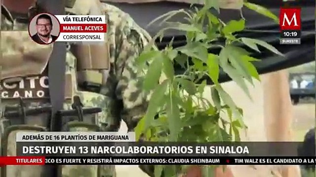 Destruyen 13 narcolaboratorios y 16 plantíos de mariguana tras operativos en Sinaloa
