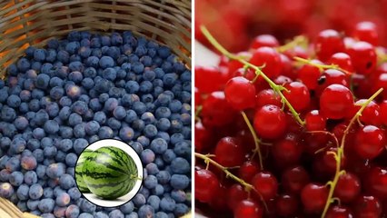 Facts That Will Make You Say I Had No Idea