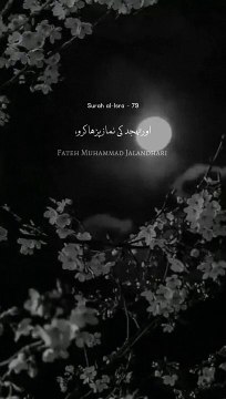 Holy Quran verses #islamistics #youtubeshorts #religioustext #islamicworld587 #islamicfactsHoly Quran verses #religioustext #youtubeshorts #islamistics #duet #islamicworld587تہجد Holy Quran verses # turjma tul Quran #islamistics #youtubeshorts #religioust