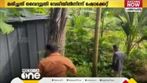 പന്നിശല്യം തടയാൻ സ്ഥാപിച്ച വൈദ്യുതി വേലിയിൽ നിന്ന് ഷോക്കേറ്റു; പത്തനംതിട്ടയിൽ രണ്ട് പേർ മരിച്ചു