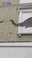 Banksy adds to animal artwork collection with new elephant design