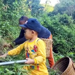 Harvesting ginger to sell at the market_carrying water. Cooking_ the life of a single mother