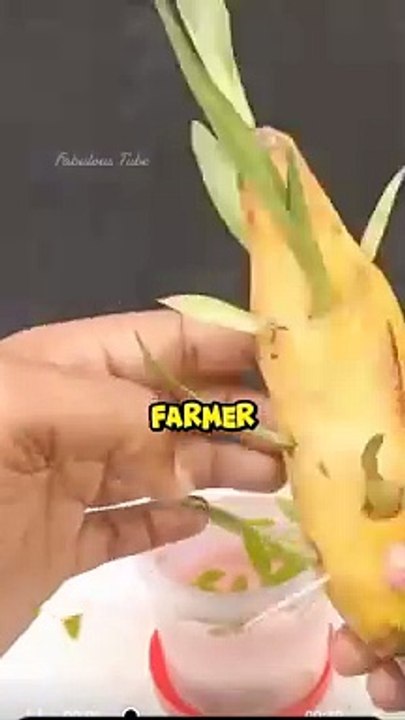 A Humble Farmer #lifelessons #motivation #shortstory #plants