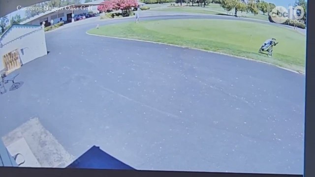 Pilot survives crash landing on Sacramento golf green; golfer narrowly escapes harm