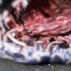 Kamen Rider RX - Episódio 10 - 11