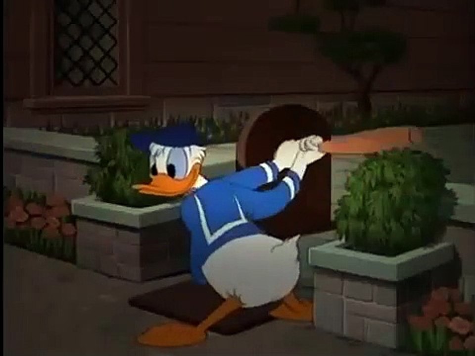 Donald Duck Cartoon