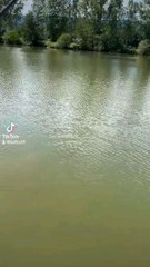 Voici ma nouvelle vidéo