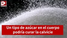Un tipo de azúcar en el cuerpo podría ser la cura para la calvicie