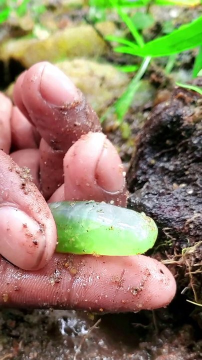 Emerald Omg!!  5.3$ M  50,000$ #mining #emerald #gemstone#gems #Gems#diamonds#emeralds#greenemerald
