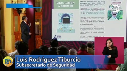 Caso Noriko Dallana llega a AMLO: esto dijeron autoridades de seguridad