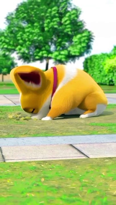 Funny cartoon video dog talking about his