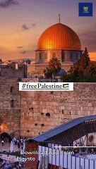 Where are you Muslim countries #reelsviralシ #shortsvideos #FreePalestine #shorts