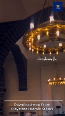 Aur har eik Gul muskrany Laga #reelsviralシ #FreePalestine #nattshareef #shorts