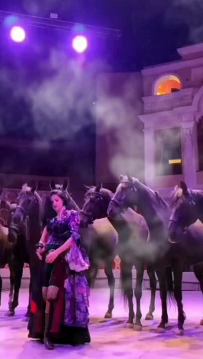 Circus girl horse # video