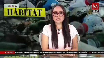 Organización pide no aplazar voto sobre reforma de protección animal | Milenio Hábitat