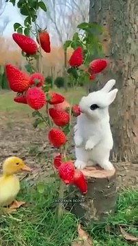 Save Your Food _shorts,easy life hacks videos, tricks videos, crafts videos, diy videos,