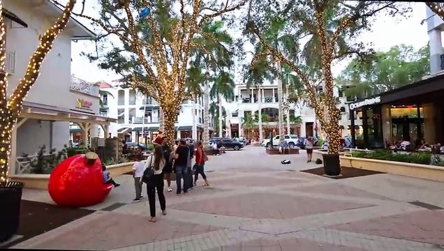 Naples Florida Fifth Avenue South - Attractions