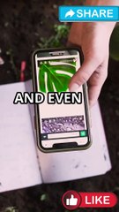 Unveiling Boron: From Occurrence to Essential Uses