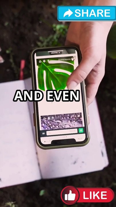 Unveiling Boron: From Occurrence to Essential Uses