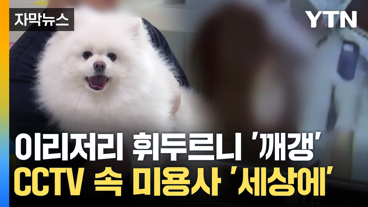 [자막뉴스] CCTV에 수차례 잡힌 충격 장면...결론은 '무혐의' 판단 / YTN