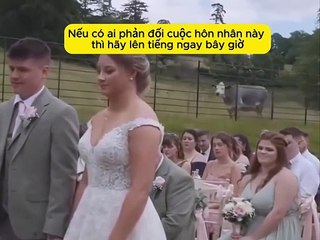 Chú rể: "Chắc làm món bò hầm quá" #wedding #happy #đào #funny #phimhay #haihuoc #viral