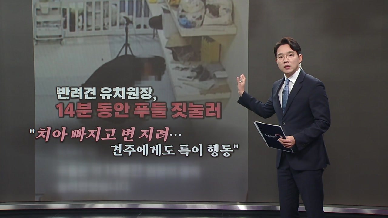 반려견 유치원서 학대?... "치아 빠지고 특이 행동" [앵커리포트] / YTN