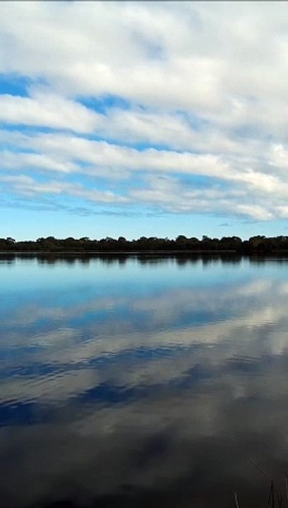 Yangebup Lake 8