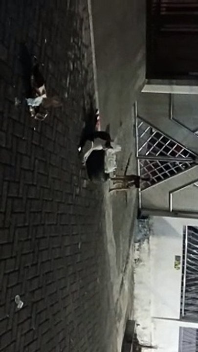 VID_20240805_230950
