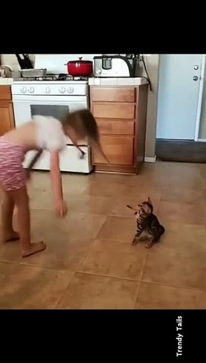 Cat also Trying