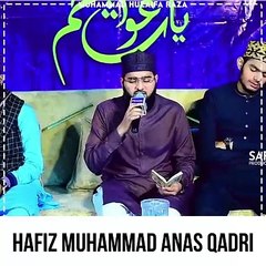 Dar Pe Bulalo Zahra Ke Baba | Hafiz Anas Qadri