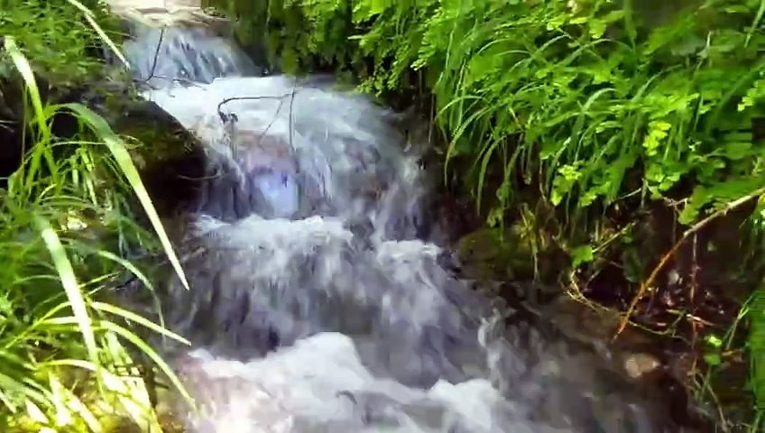 Natural Beauty: Soothing Water Sounds for Relaxation and Peace
