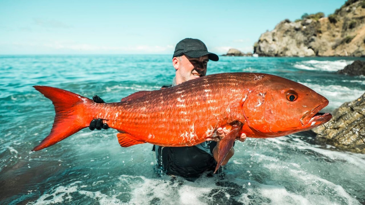 Mordu de la pêche