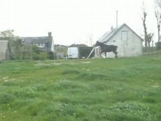 Nyamoko se laisse pas attrapé 2