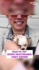 Kids' Overjoyed Reactions to Puppy Surprise