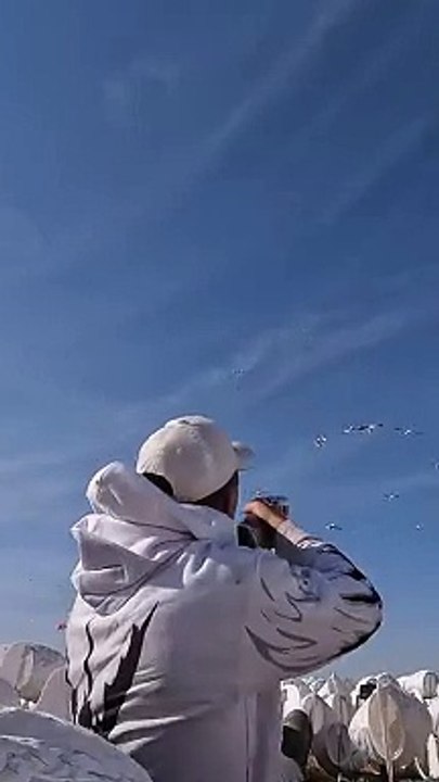 Snow_Goose_Hunt_TRIPLE___Snow_Goose_Hunt_2023_#hevishot_#cabelas_#benelli_#divebombindustries(480p)